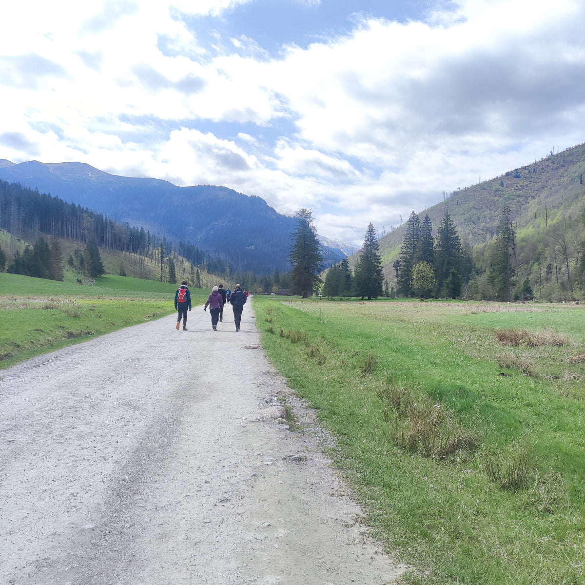 Panorama gór na trasie Zgranych w Drodze